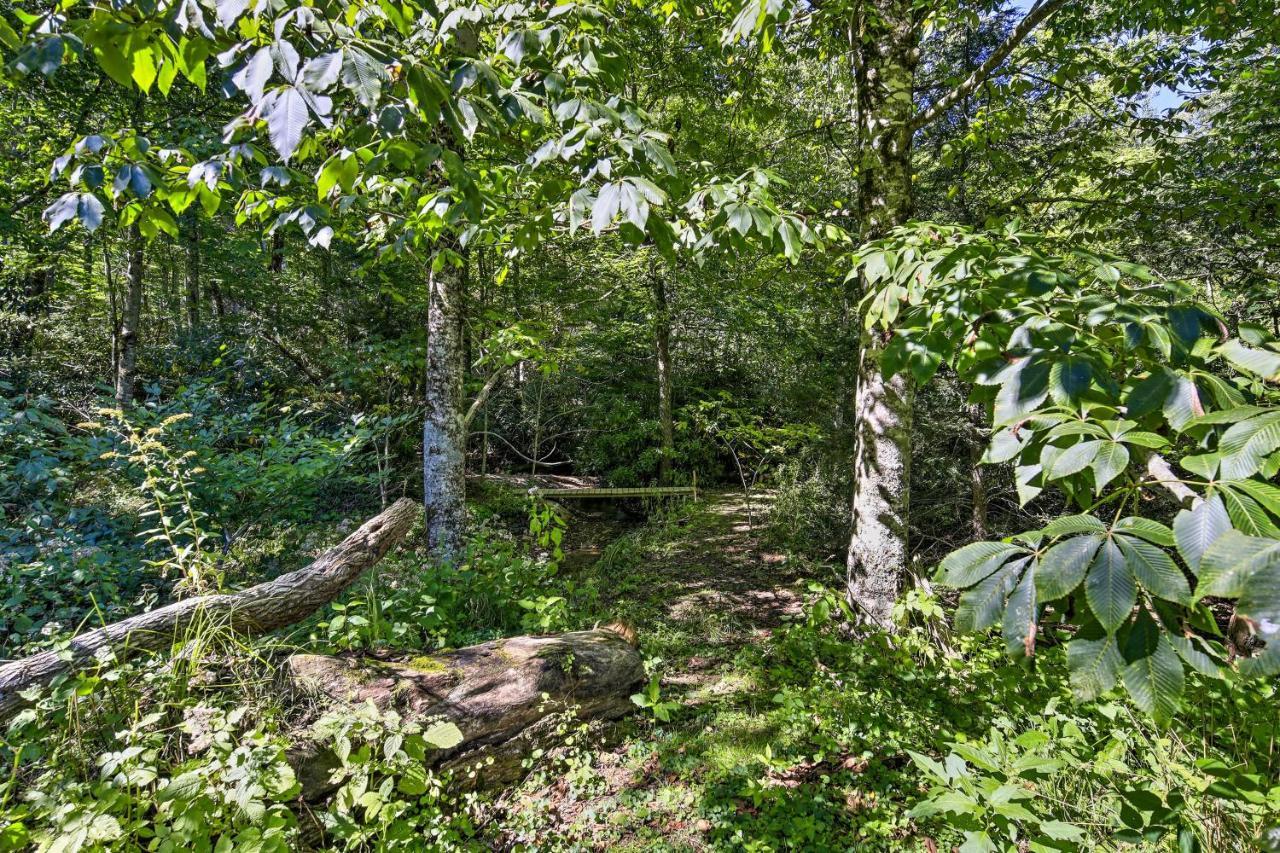 Dog-Friendly Cabin, 9 Mi To Sugar Mountain Resort Banner Elk Exteriör bild